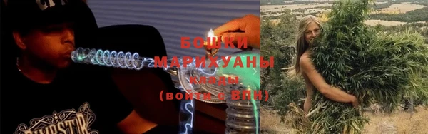 сатива Рославль