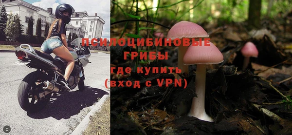 apvp Белокуриха